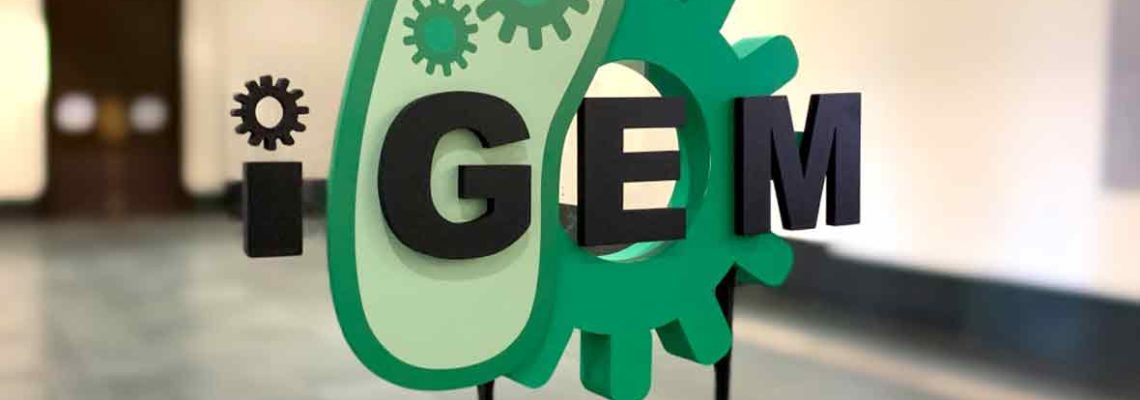 iGEM Projects